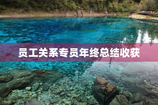 员工关系专员年终总结收获 员工关系专员年终总结收获