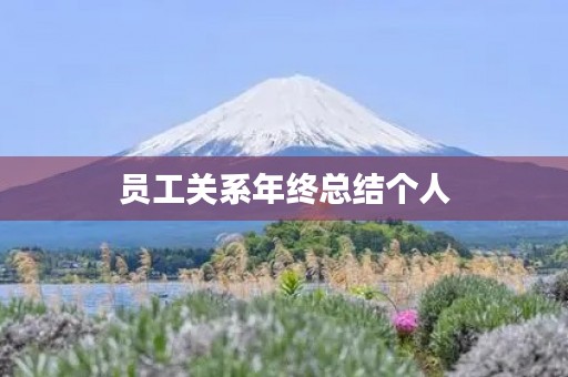 员工关系年终总结个人 员工关系年终总结个人