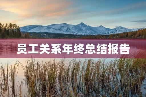 员工关系年终总结报告 员工关系年终总结报告