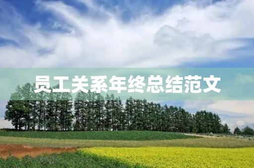 员工关系年终总结范文