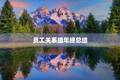 员工关系组年终总结 员工关系组年终总结