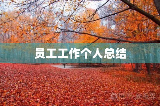 员工工作个人总结