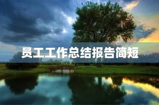 员工工作总结报告简短