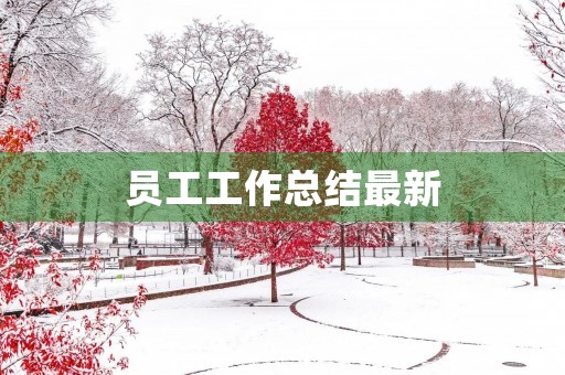 员工工作总结最新