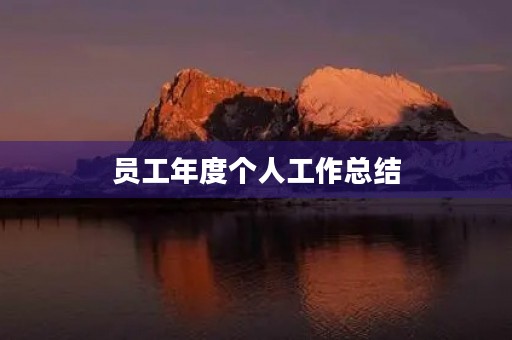 员工年度个人工作总结