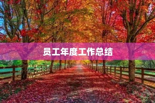 员工年度工作总结