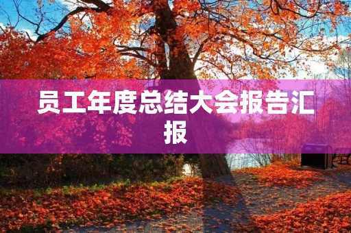 员工年度总结大会报告汇报