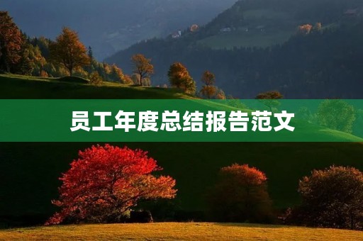 员工年度总结报告范文