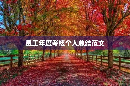 员工年度考核个人总结范文