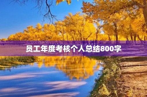 员工年度考核个人总结800字