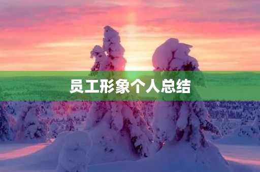 员工形象个人总结