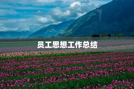 员工思想工作总结