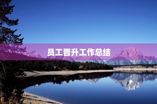 员工晋升工作总结