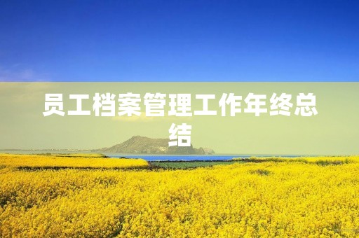 员工档案管理工作年终总结