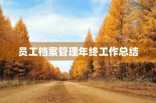 员工档案管理年终工作总结 员工档案管理年终工作总结