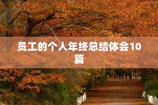 员工的个人年终总结体会10篇 员工的个人年终总结体会10篇