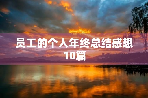 员工的个人年终总结感想10篇 员工的个人年终总结感想10篇