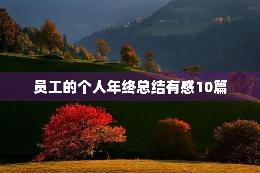 员工的个人年终总结有感10篇 员工的个人年终总结有感10篇