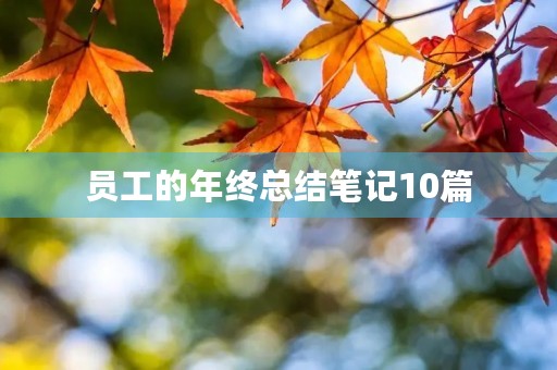 员工的年终总结笔记10篇 员工的年终总结笔记10篇