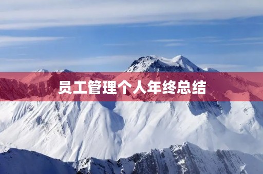 员工管理个人年终总结