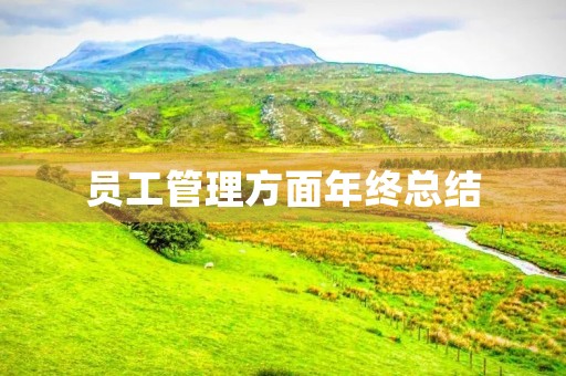 员工管理方面年终总结