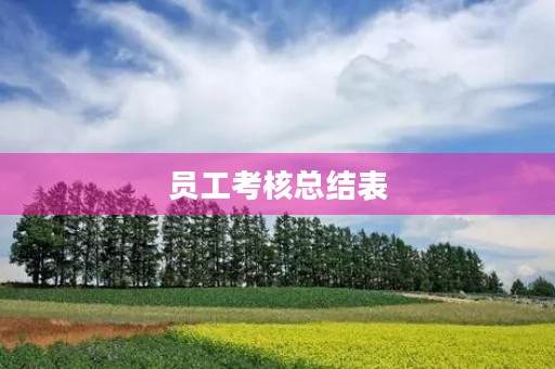 员工考核总结表