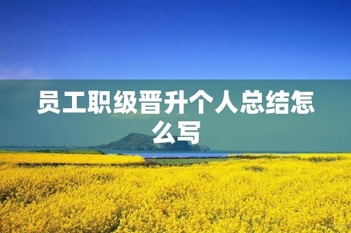员工职级晋升个人总结怎么写