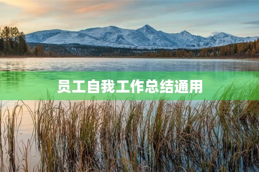 员工自我工作总结通用