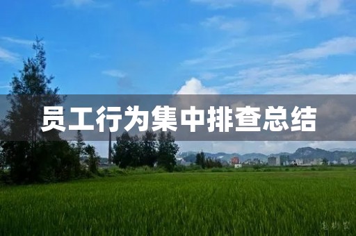员工行为集中排查总结