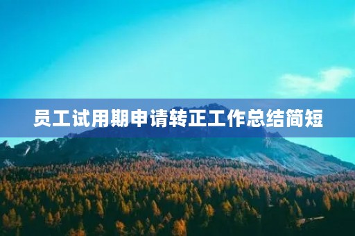员工试用期申请转正工作总结简短