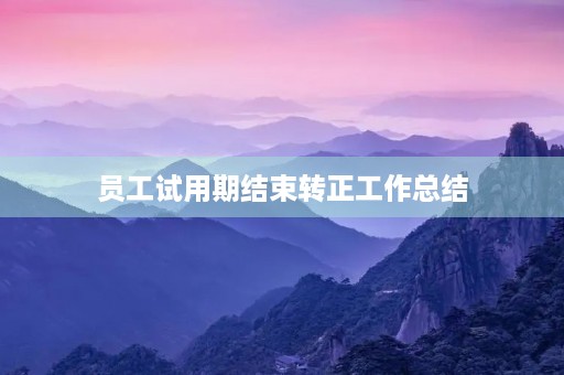 员工试用期结束转正工作总结