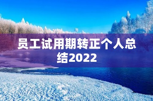 员工试用期转正个人总结2022