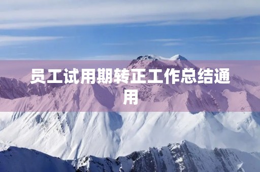 员工试用期转正工作总结通用