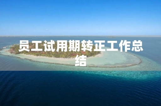 员工试用期转正工作总结