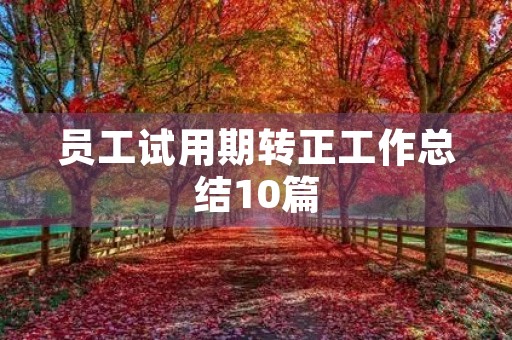 员工试用期转正工作总结10篇
