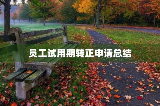 员工试用期转正申请总结(10篇)
