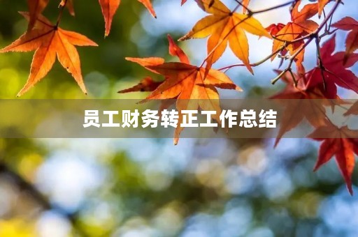 员工财务转正工作总结