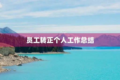 员工转正个人工作总结（通用）