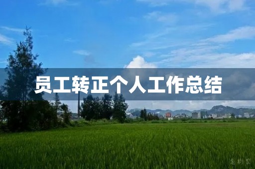 员工转正个人工作总结