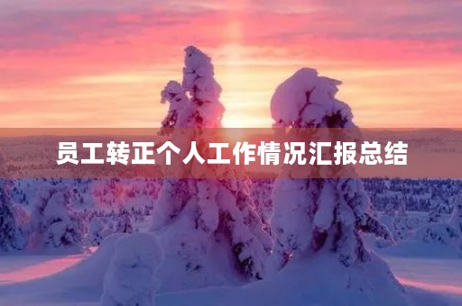 员工转正个人工作情况汇报总结