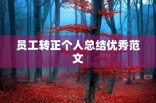 员工转正个人总结优秀范文