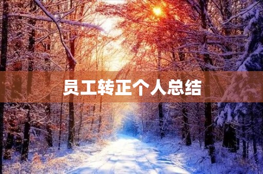 员工转正个人总结(14篇)