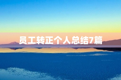 员工转正个人总结7篇