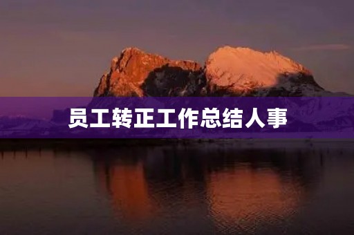 员工转正工作总结人事
