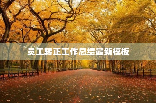 员工转正工作总结最新模板