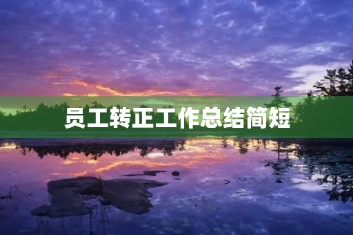 员工转正工作总结简短