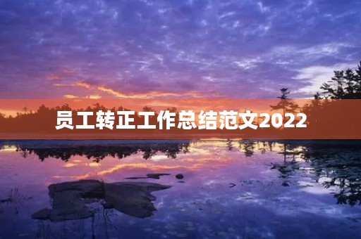 员工转正工作总结范文2022