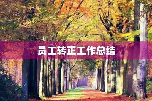 员工转正工作总结(7篇)