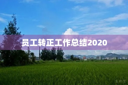 员工转正工作总结2020