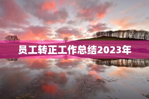 员工转正工作总结2023年